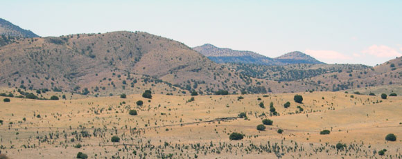 Ranch for Sale, image of land around ranch