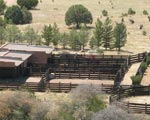 Ranch for sale southwestern new mexico, image of the barn and barnyard